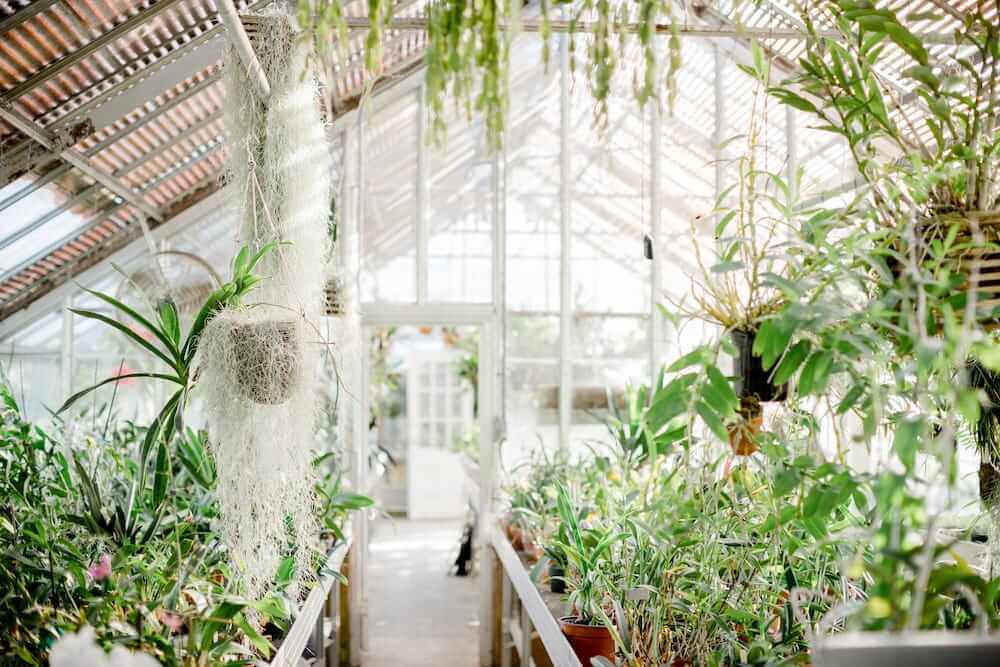 The Greenhouse - Reynolda