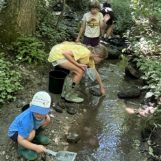 Children along a creek