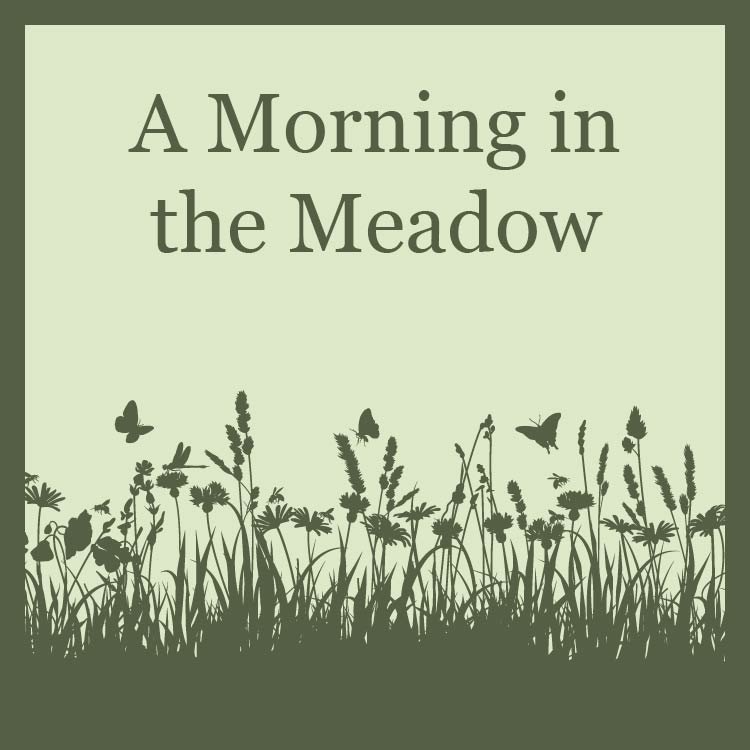 a silhouette of flowers and grasses with butterflies in the air