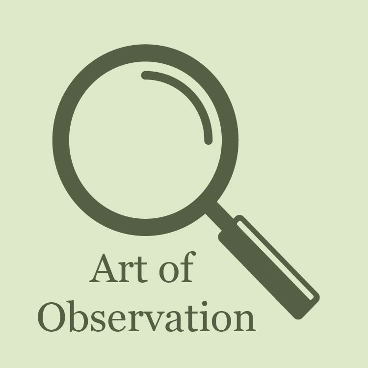 icon of a magnifying glass above the words "art of observation"