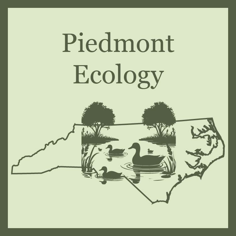 outline of the state of north carolina with a silhouette of a pond scene superimposed on the piedmont area